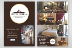 Esperia-Flyer-Grey-Background